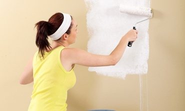painters-torbay painters torbay